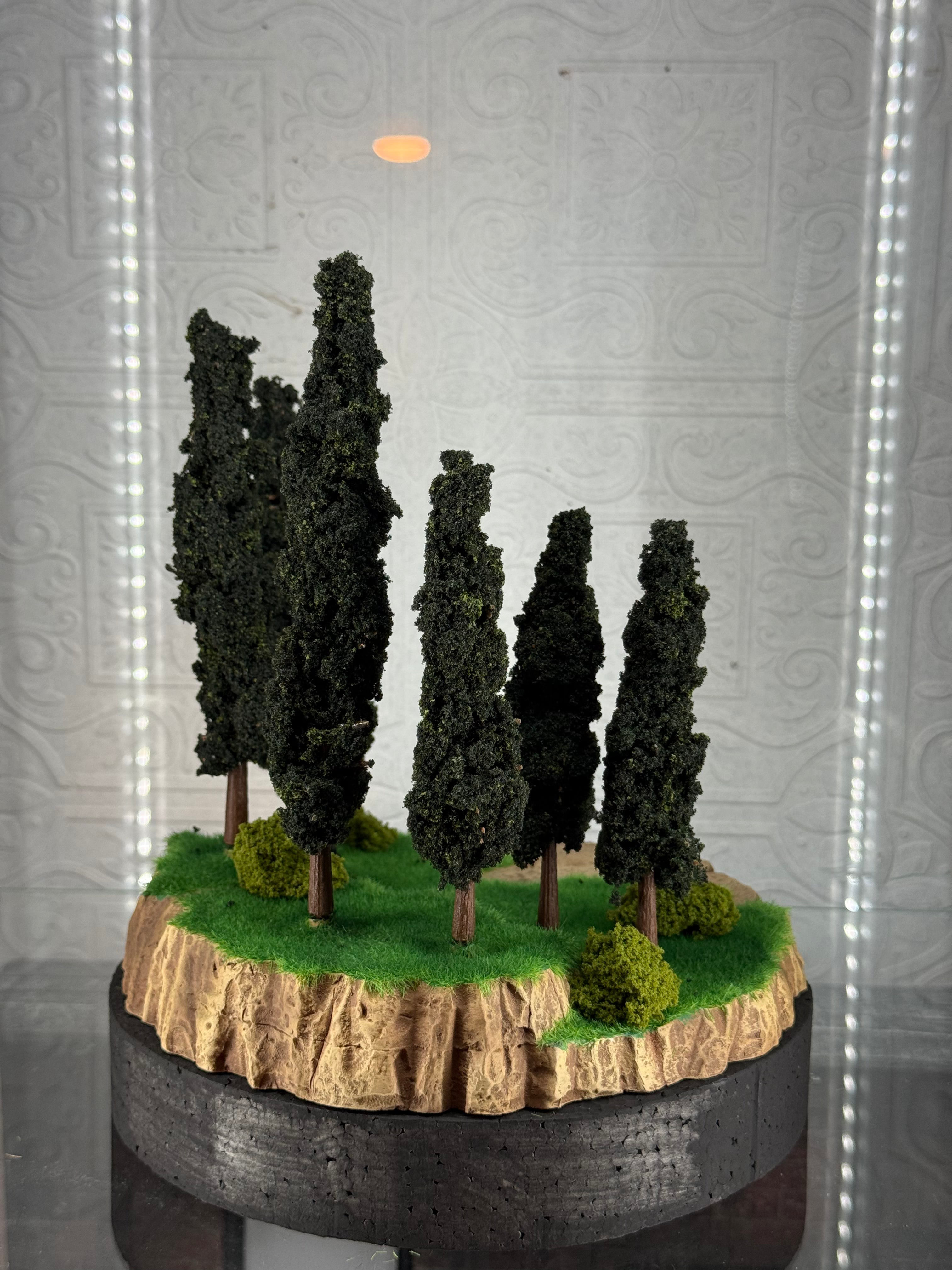 Woods Terrain mini Diorama A